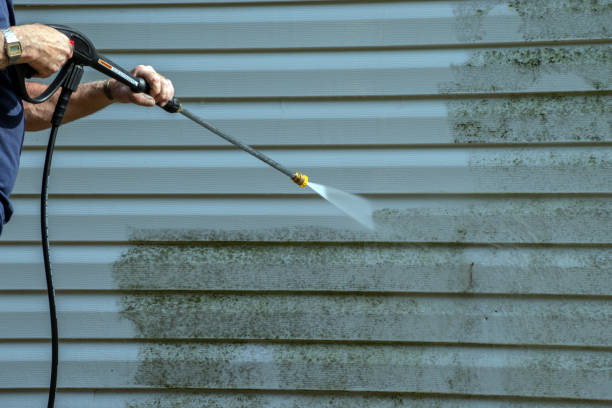 Best Building Exterior Washing  in North River Shores, FL